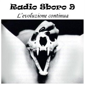 Radiosboro, Volume 9: L'evoluzione continua