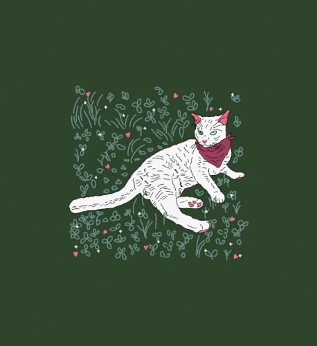 Quarantine Cat