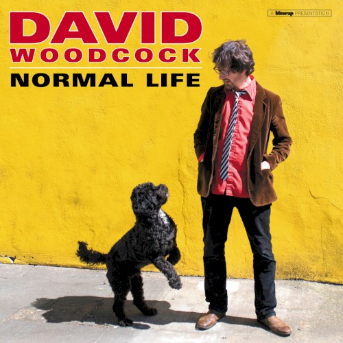 Normal Life