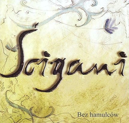 Bez hamulców