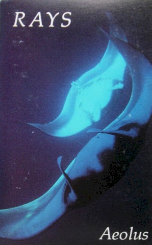 Rays