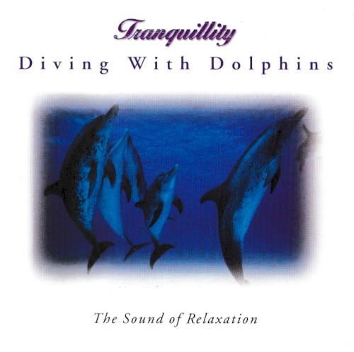 Diving With Dolphins