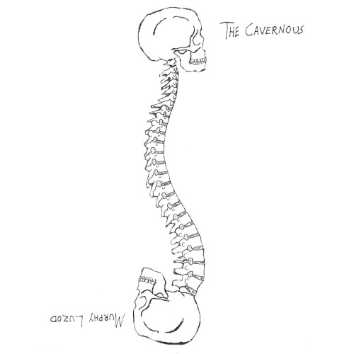 Siamese Spine Split