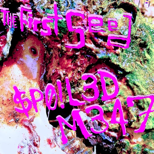 $P0!L3D M347