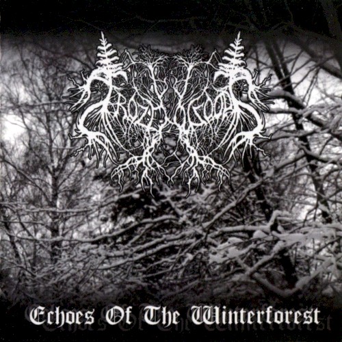 Echoes of the Winterforest