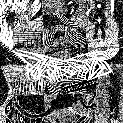 Dissimulation