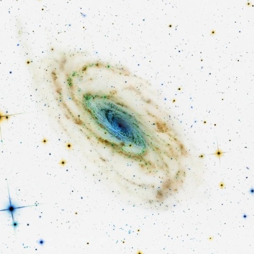 The Fractal Universe