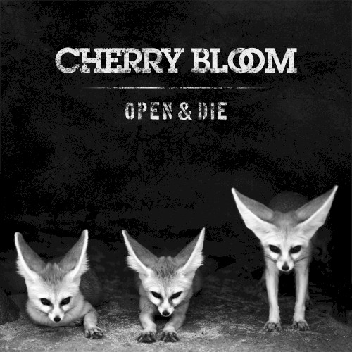 Open & Die