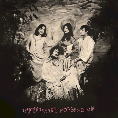 Immaterial possession