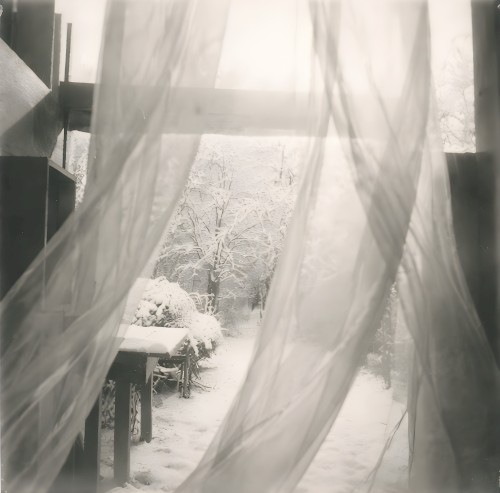 Between Frost and Promise