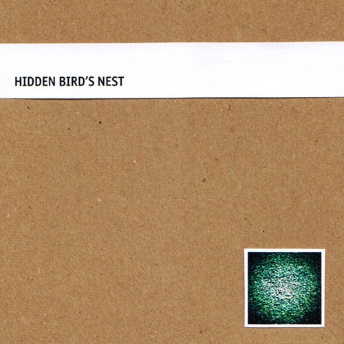 Hidden Bird’s Nest