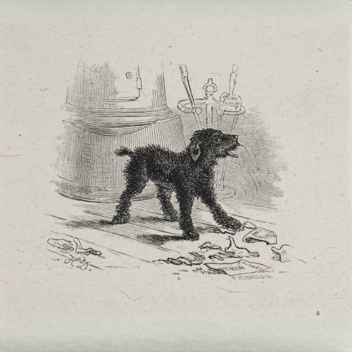 Black Hound