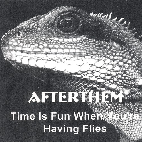 Time Is Fun When You're Having Flies