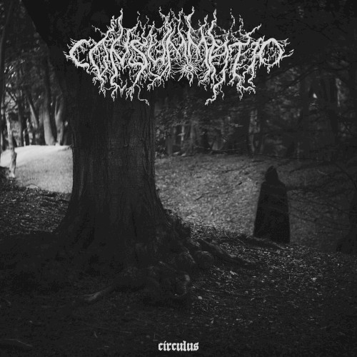 Consummatio &ndash; Circulus