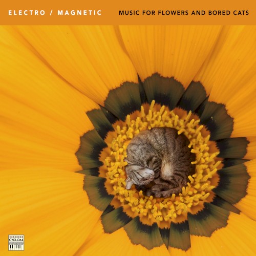 Music for Flowers and Bored Cats
