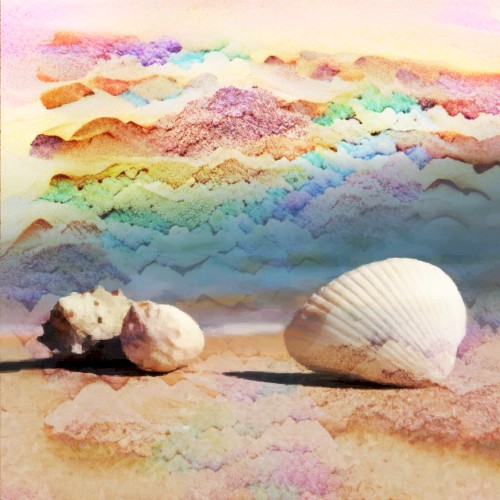 𓆩♡𓆪