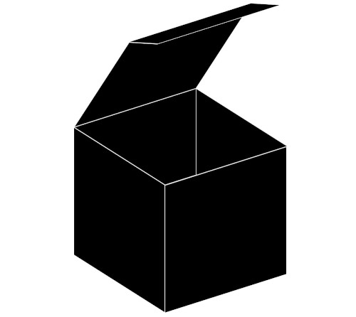 Black Box