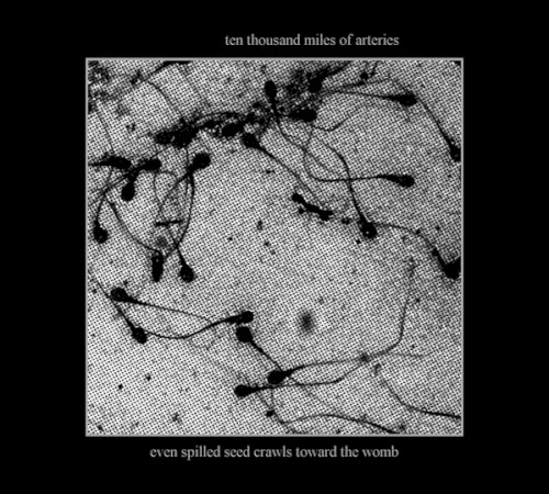 Even Spilled Seed Crawls Toward The Womb