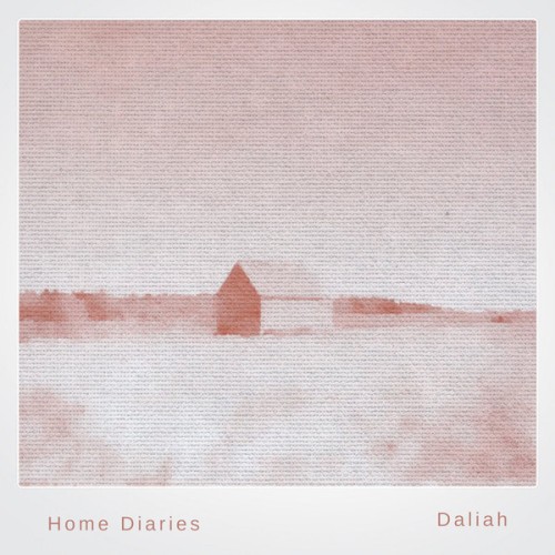 Home Diaries 024