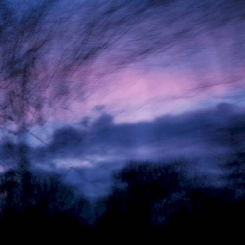 for every dreary morning, and the listless afternoon, with its skies like rhododendrons