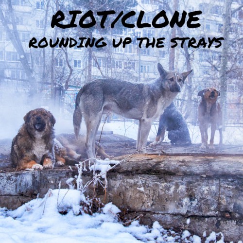 Rounding Up the Strays