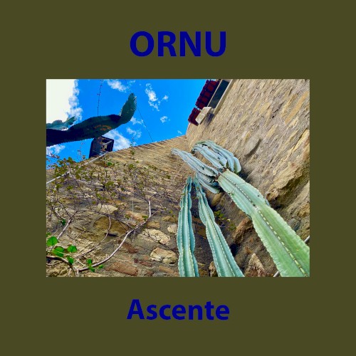Ascente