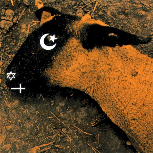 Animositisomina