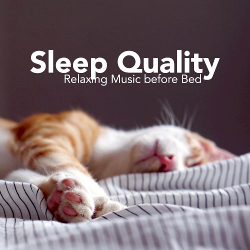 Sleep Quality: Relaxing Music Before Bed