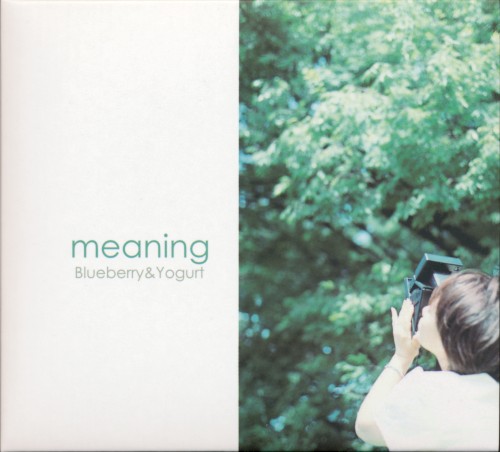 meaning