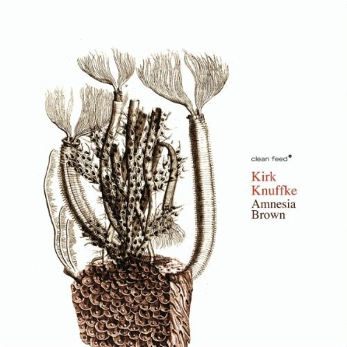 Amnesia Brown