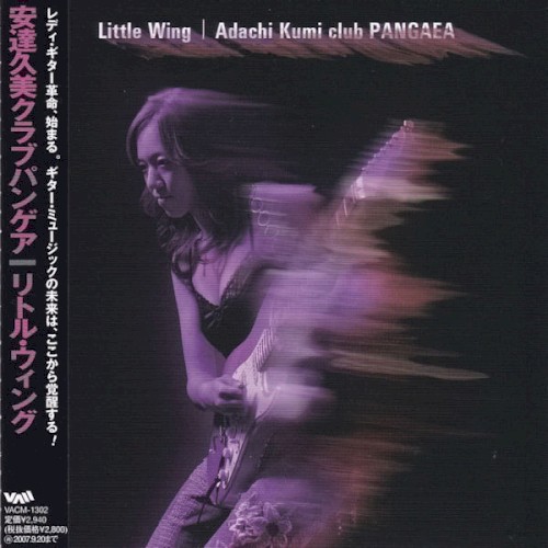 Little Wing