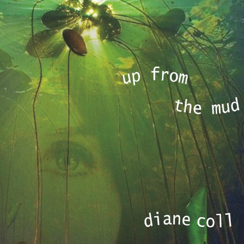 Up from the Mud