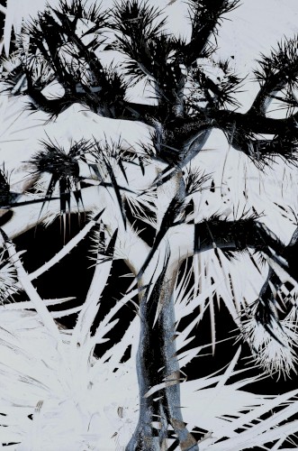 Plastic Tree