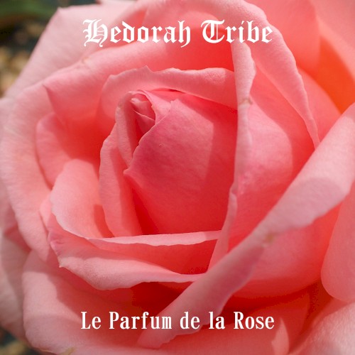 Le Parfum de la rose