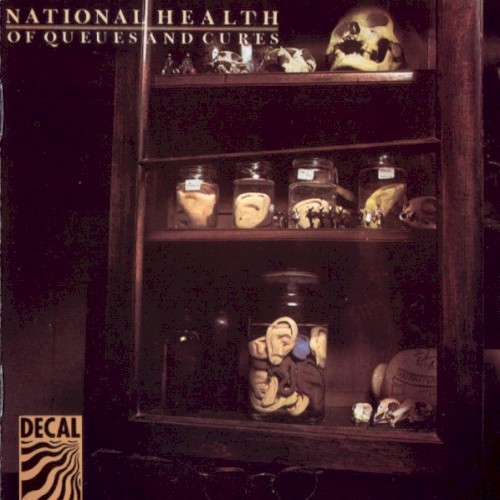 National Health &ndash; Of Queues and Cures