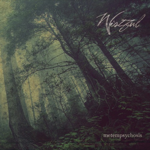 Metempsychosis