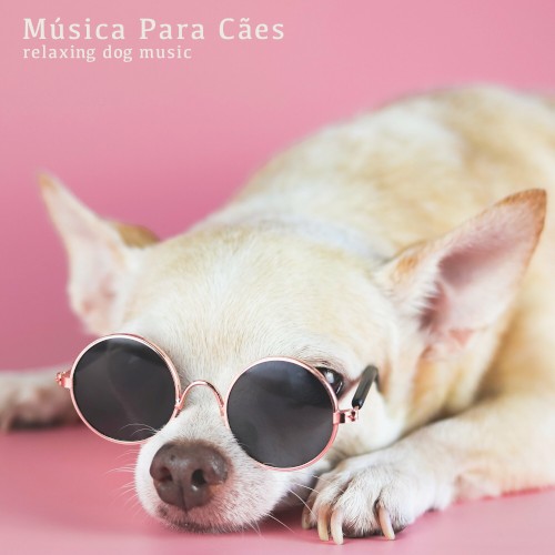 Relaxing Dog Music