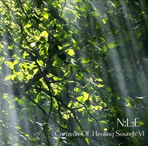 Caravan Of Healing Sounds VI