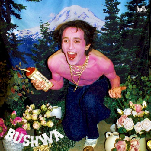 BUSHWA