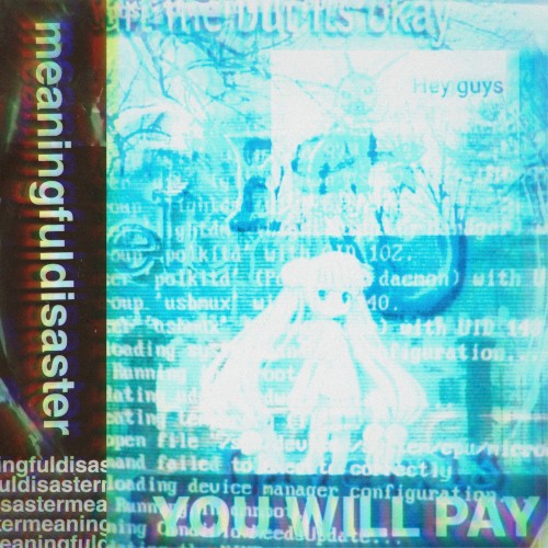 Meaningfuldisaster
