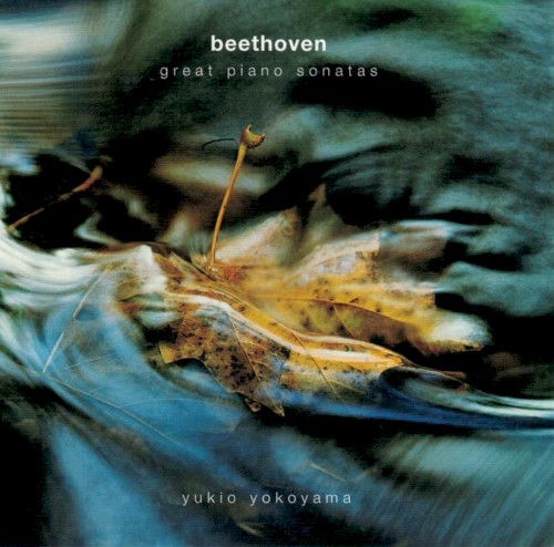 Great Piano Sonatas