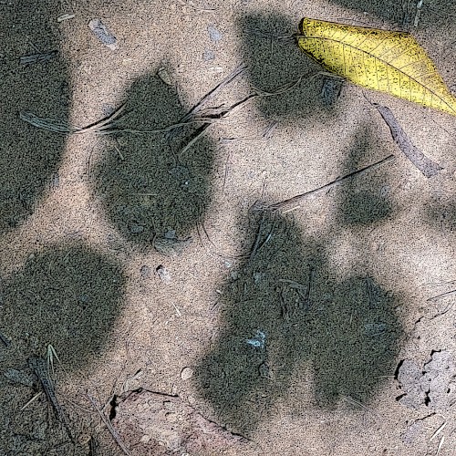 Sense-Souls | Nature-Substance