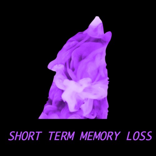 Short Term Memory Loss