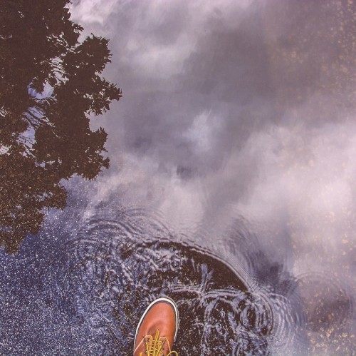 Reflections