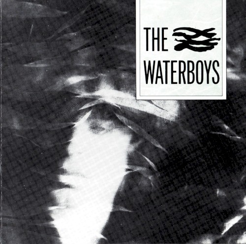 The Waterboys