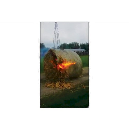 pumpkin patch