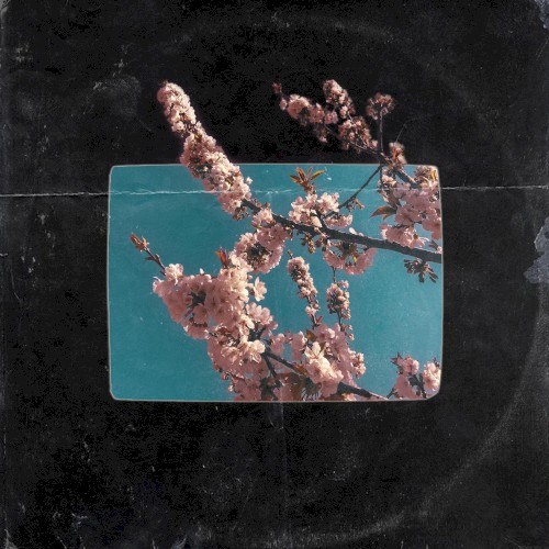 BLOSSOM