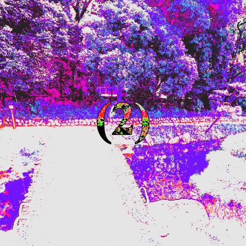 (2)