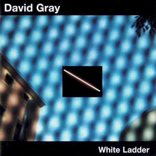 White Ladder