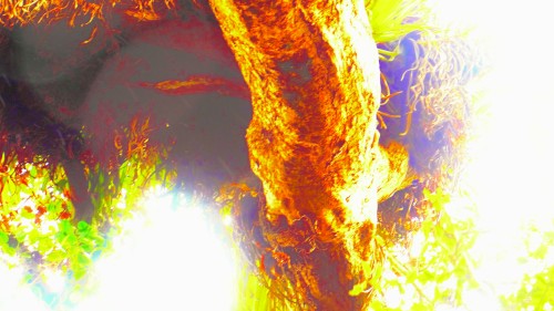 By Differing Lights